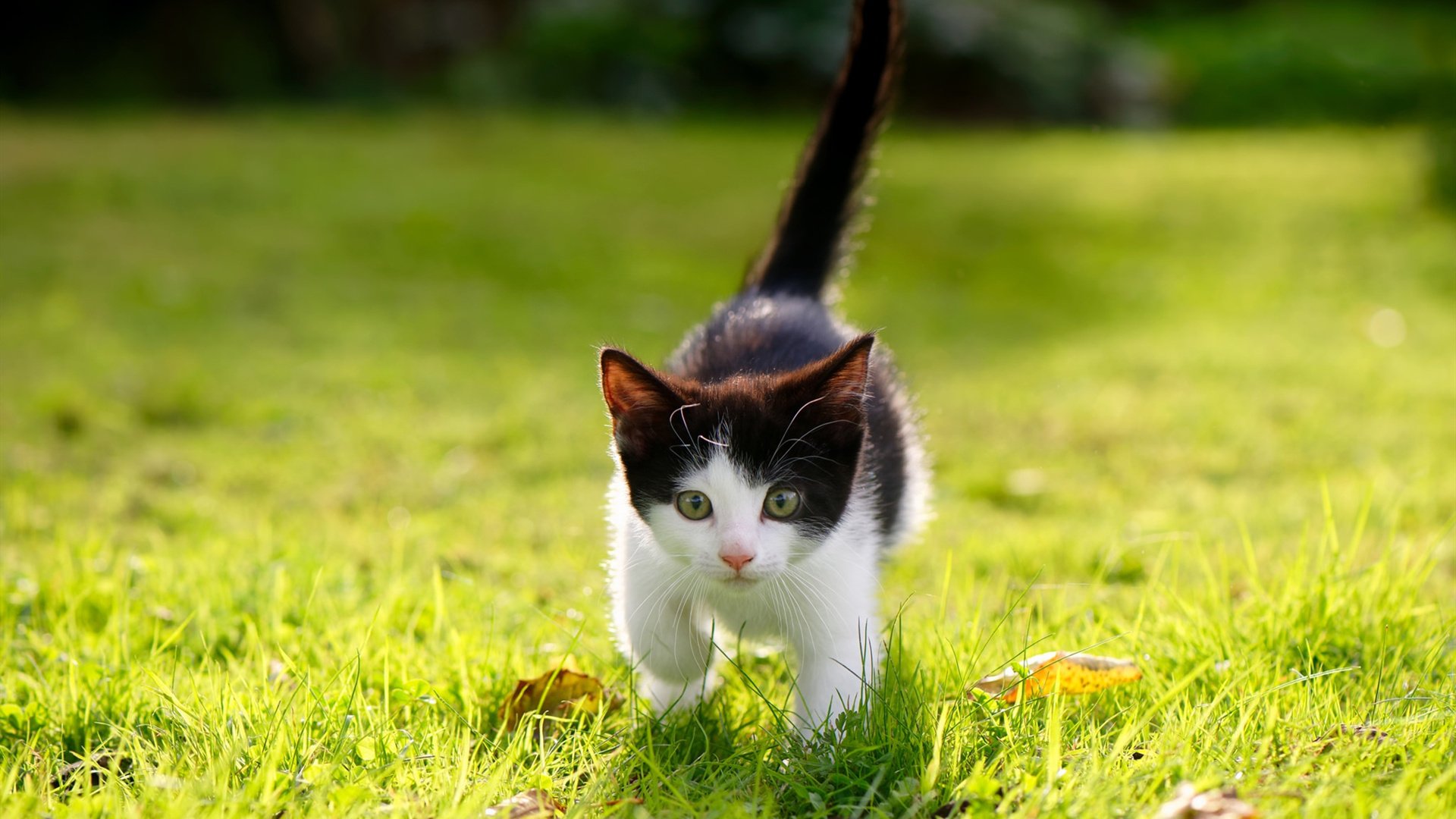 _国际水上运动大会：畅享水域激情_，国际体育总局水上运动管理中心